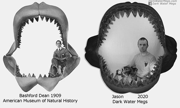 In Megalodon Jaw Historic