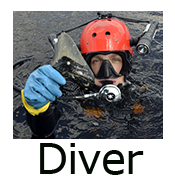 Diver Megalodon Finder